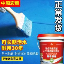 國標JS防水涂料防水膠滲水裂縫防水堵漏王衛生間廚房內外墻堵漏膠